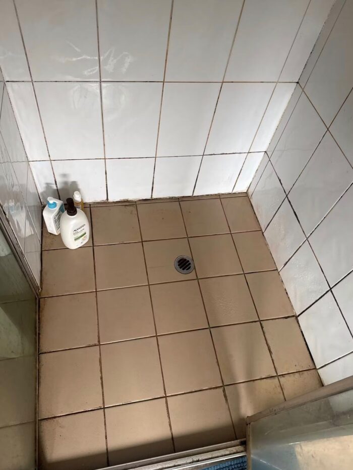 Shower floor before regrouting, with heavy black mould staining through the grout lines